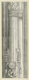 Der Triumphbogen des Kaisers Maximilian I. (Fragment v. 12): Der Säulenschaft der linken Mittelsäule