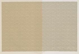 Walzendruckpapier (feines Flächenmuster, nach alten Mustern)