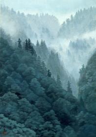 Tal im Nebel