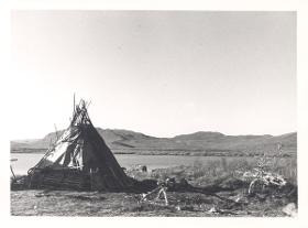 Zeltkote