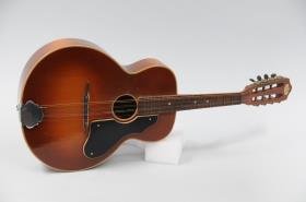 Mandoline in Gitarrenform