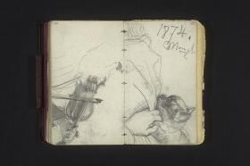 Hand am Steg der Violine, Hand eine Katze streichelnd