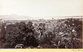 View of Prome, from the Pagoda