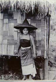 a Shan Beauty