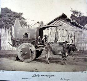 Ochsenwagen