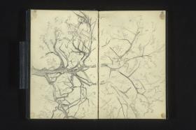 Baumstudie, Mann mit Regenschirm unter dem Arm