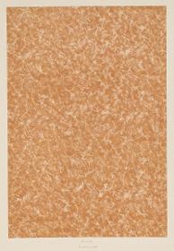 Lithografiertes Papier (Marmorimitation)