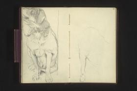 Hundestudie