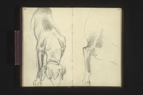 Hundestudie