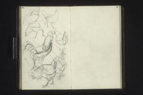 Hühnerstudien