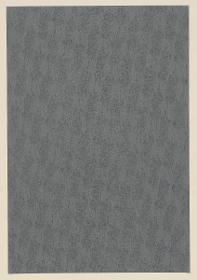 Lithografiertes Papier (florales Flächenmuster)