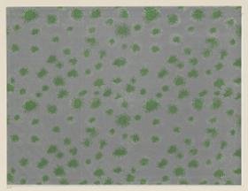 Lithografiertes Papier (Sprenkel)