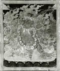 Roter Hayagriva