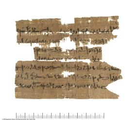 Demotischer Papyrus, Querformatbrief (Korrespondenz Espnebonchis, Sohn des Espneti-hetnetjer)