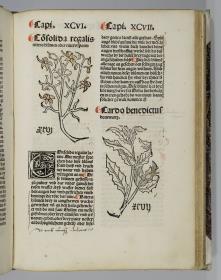 Johannes de Cuba: Gart der Gesundheit. [Basel: Michael Furter].