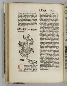 Johannes de Cuba: Gart der Gesundheit. [Basel: Michael Furter].
