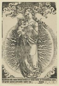 Die Madonna in der Mondsichel