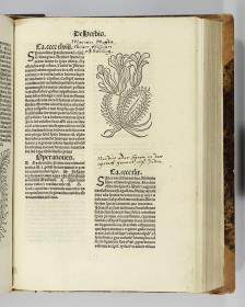 Hortus sanitatis. Mainz: Jakob Meydenbach. 23.VI.1491.