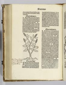 Hortus sanitatis. Mainz: Jakob Meydenbach. 23.VI.1491.
