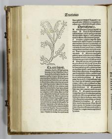 Hortus sanitatis. Mainz: Jakob Meydenbach. 23.VI.1491.