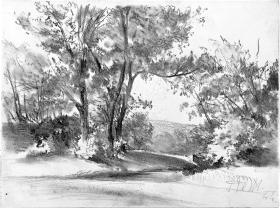 Hügelige Landschaft mit Baumgruppe und Gebüsch am Bach