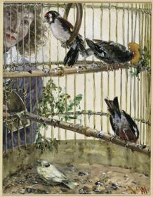 Die Distelfinken und der Kanarienvogel im Bauer. Aus dem "Kinderalbum"
