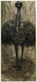Der Emu. Aus dem "Kinderalbum"