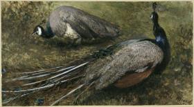 Die zwei Pfauen. Aus dem "Kinderalbum"