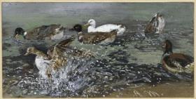 Die Enten im Wasser. Aus dem "Kinderalbum"