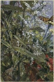 Blumen mit einem Schmetterling und Schnecke. Aus dem "Kinderalbum"