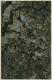 Der blauspecht im Laub. Aus dem "Kinderalbum"