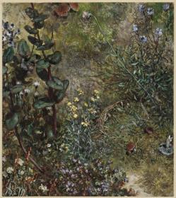 Waldboden mit der Eidechse. Aus dem "Kinderalbum"