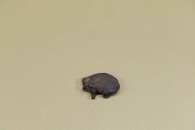 Schwein