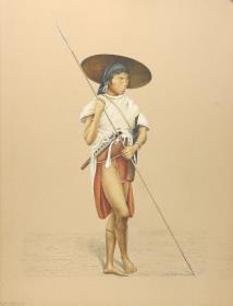 Mizu Mishmi