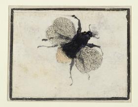 Hummel, nach rechts