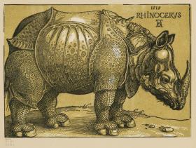 Das Rhinozeros