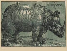 Das Rhinozeros