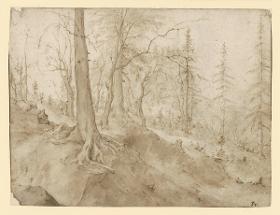 Bergwald, Tannen und unbelaubte Stämme