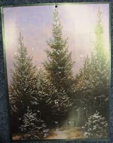 Fichten im Schnee - Pine grove
