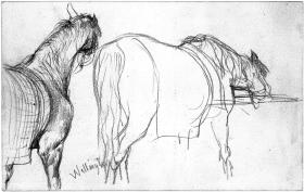 Pferd mit Decke im Stall, zwei Studien