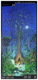 Der Regenwaldadventskalender von Artists United for Nature. 24 Wunder des Regenwaldes.