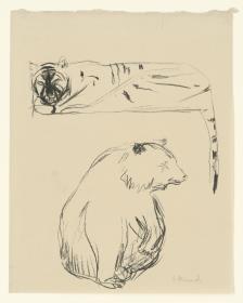Tiger und Bär