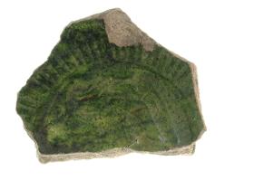 Schale, Fragment (Boden)