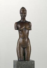 Torso