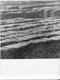 Papierfabrik Scheufelen, Holzlager