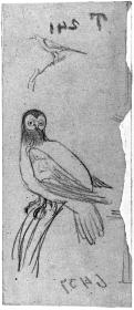 Zwei Vögel: Eule und Schwalbe, Durchzeichnung