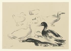 Enten