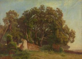 Landschaft mit umfriedeten Bäumen