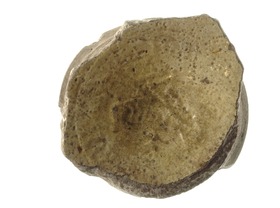 Schale, Fragment (Boden)