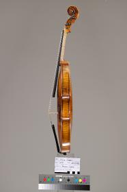 Violine